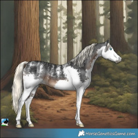 Horse Color:Powder White Gray Liver Chestnut Mushroom Splash