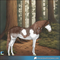 Horse Color:Liver Chestnut Splash Rabicano 