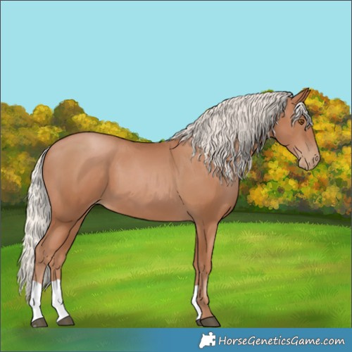 Horse Color:Silver Black Pearl
