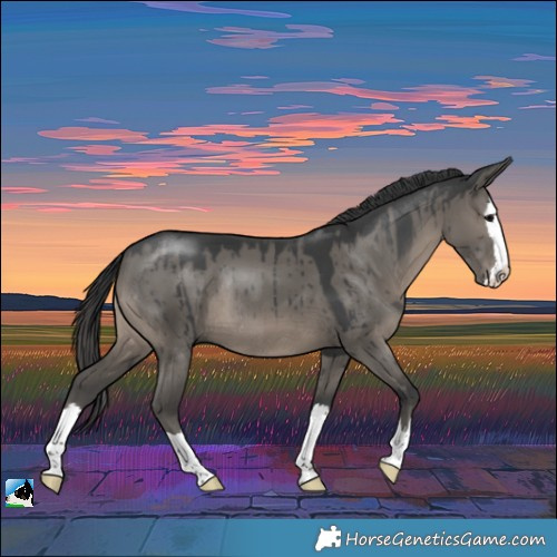 Horse Color:Grullo Splash Rabicano Brindle