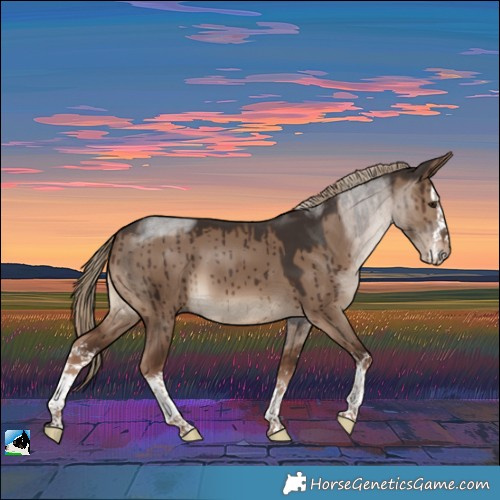 Horse Color:White Spotted Liver Red Dun Brindle