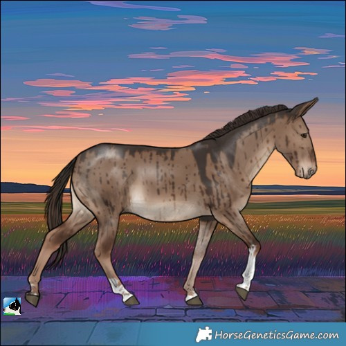 Horse Color:Liver Red Dun Tobiano Rabicano Brindle 