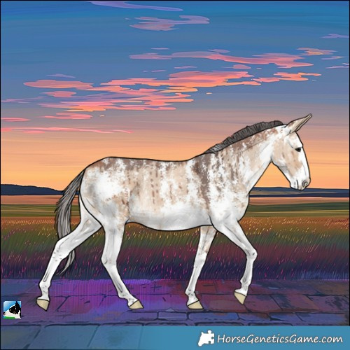 Horse Color:Bay Dun Merle Sabino Splash Brindle