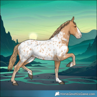 Horse Color:Chestnut Splash Near Leopard 