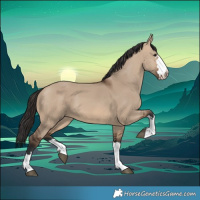 Horse Color:Brown Dun