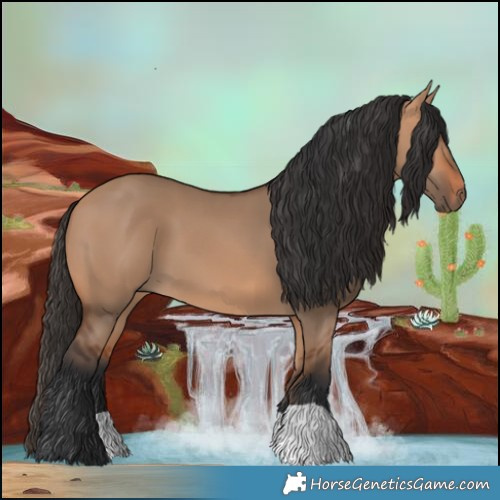 Horse Color:Bay Dun 