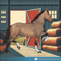 Horse Color:Bay Dun