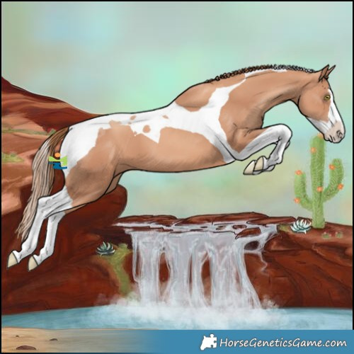 Horse Color:Gold Champagne Splash Tobiano 