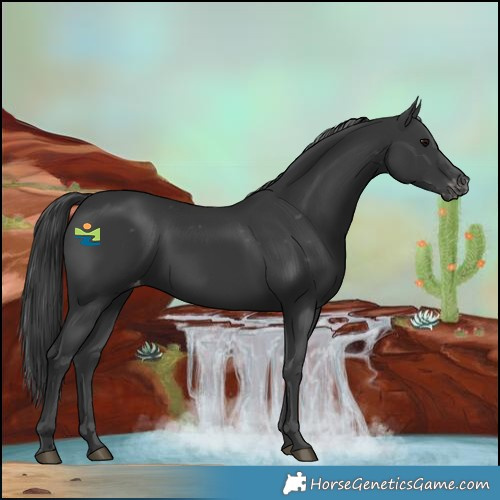 Horse Color:Black Varnish Rabicano 