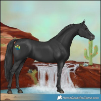 Horse Color:Black Varnish Rabicano 