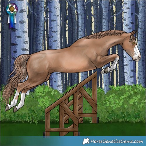 Horse Color:Liver Chestnut Pearl