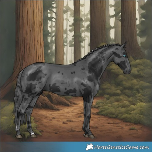 Horse Color:Gray Brown Merle