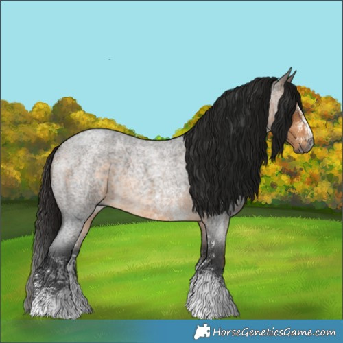 Horse Color:Gray Buckskin Roan Sabino