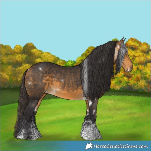 Horse Color:White Spotted Buckskin Sabino