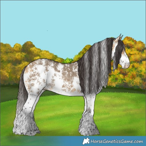 Horse Color:Buckskin Dun Sabino