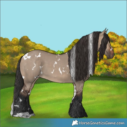 Horse Color:White Spotted Brown Dun