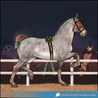Horse Color:Liver Red Roan