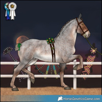 Horse Color:Liver Red Roan 