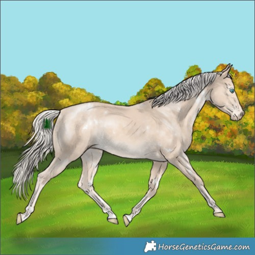 Horse Color:White Spotted Cremello