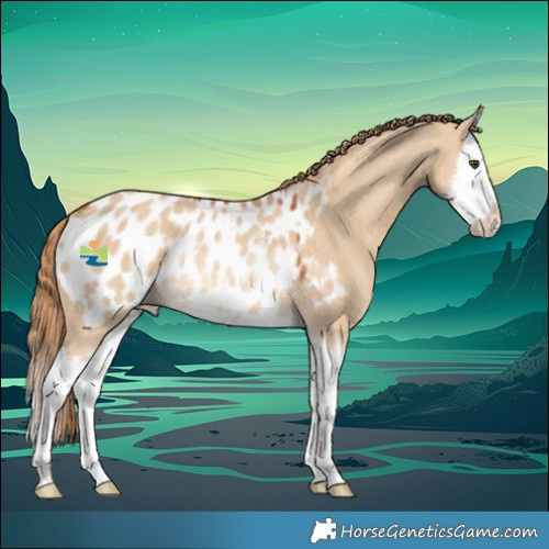 Horse Color:Red Dun Splash Appaloosa Rabicano 