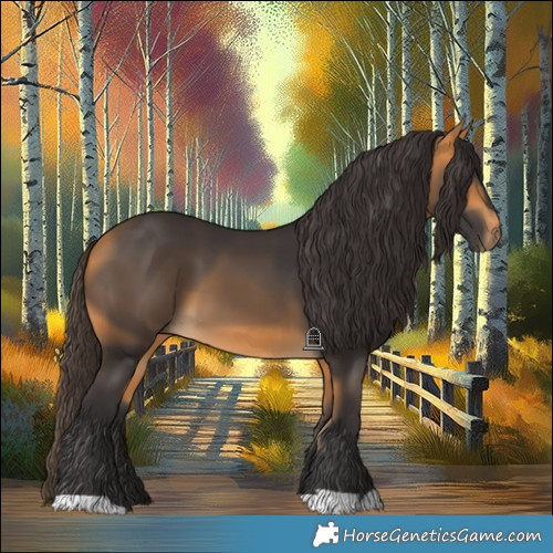 Horse Color:Buckskin 