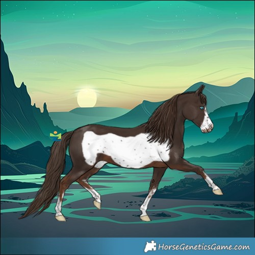 Horse Color:Liver Chestnut Sabino Frame