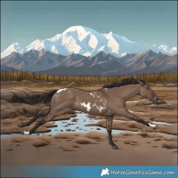 Horse Color:Liver Red Dun Skewed LP Spotted