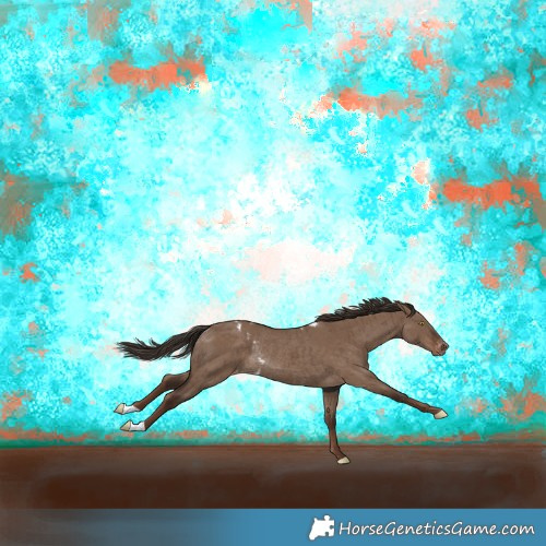 Horse Color:Liver Red Dun Skewed Appaloosa Rabicano Brindle