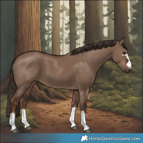 Horse Color:Liver Red Dun