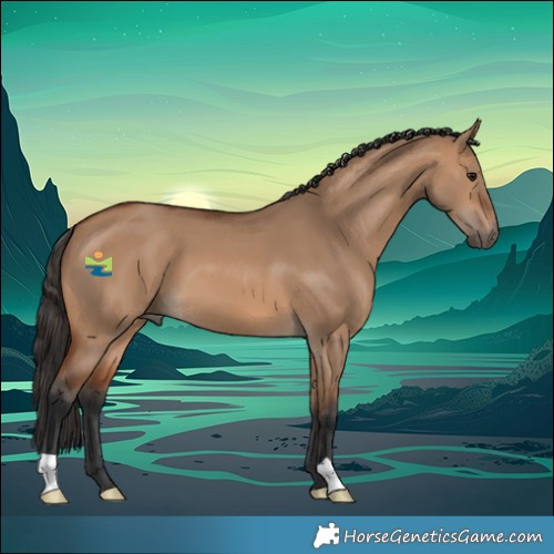 Horse Color:Bay Dun