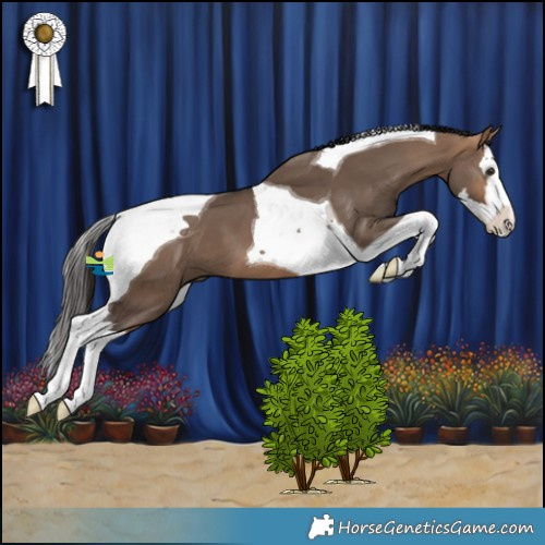 Horse Color:Bay Dun Splash Tobiano 