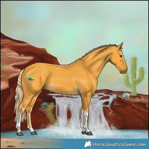 Horse Color:Palomino Tobiano 