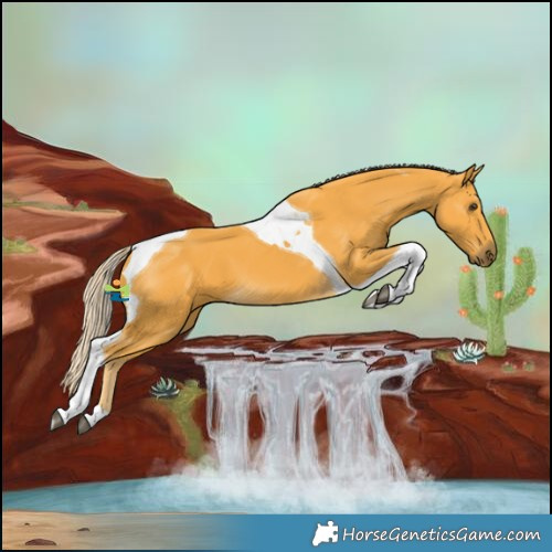Horse Color:Palomino Tobiano