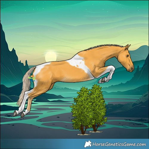 Horse Color:Palomino Tobiano 