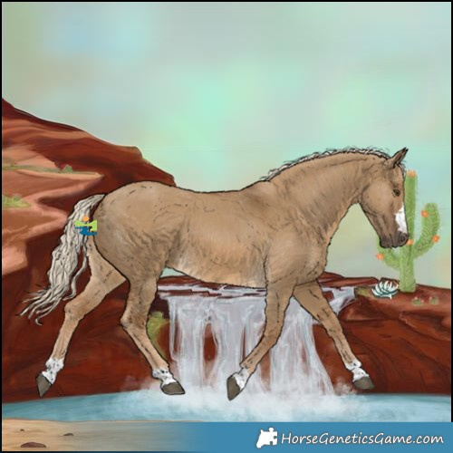 Horse Color:Chocolate Palomino Dun 