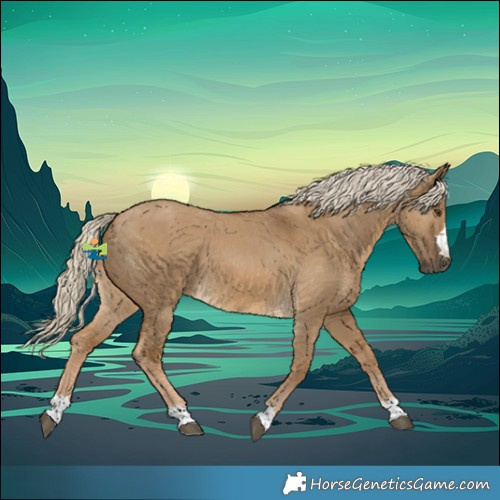 Horse Color:Chocolate Palomino Dun