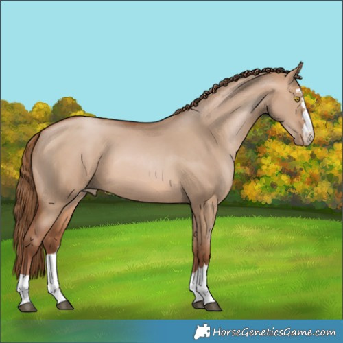 Horse Color:Brown Pearl Dun