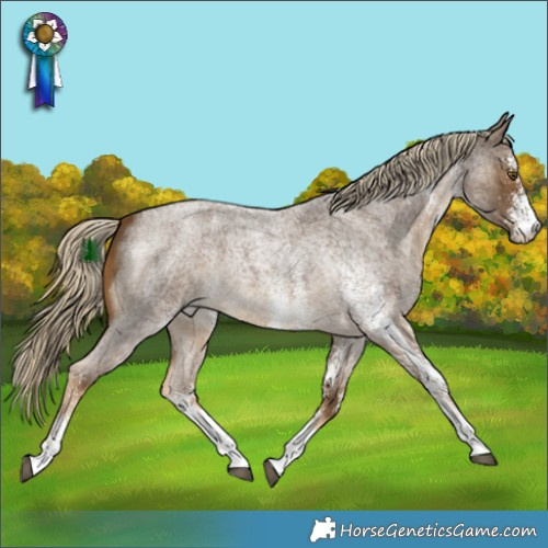 Horse Color:White Spotted Chocolate Palomino Roan Rabicano 