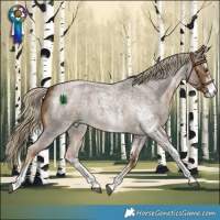 Horse Color:White Spotted Chocolate Palomino Roan Rabicano