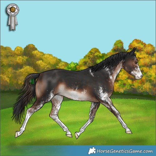 Horse Color:White Spotted Liver Chestnut 