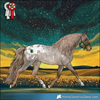 Horse Color:Chocolate Palomino Roan Blanket Rabicano 