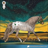 Horse Color:Chocolate Palomino Roan Blanket Rabicano 