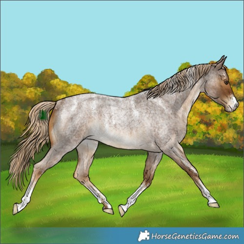 Horse Color:Powder White Chocolate Palomino Roan Rabicano 