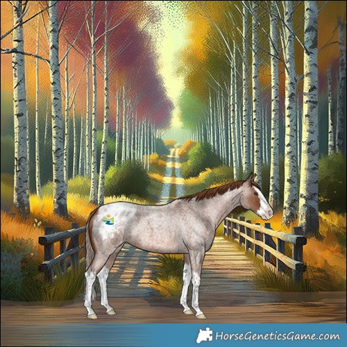 Horse Color:Red Roan Splash Blanket