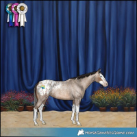 Horse Color:Gray Amber Champagne Roan Splash Blanket 