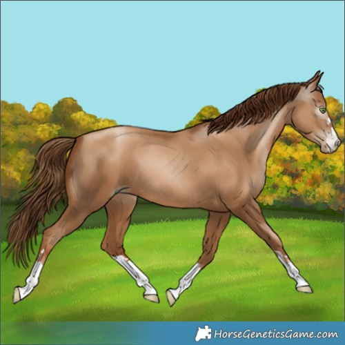 Horse Color:Gray Classic Champagne Pearl 
