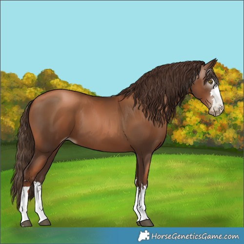 Horse Color:Gray Liver Chestnut Pearl 