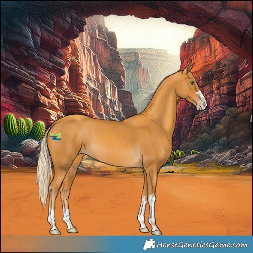 Horse Color:Gold Cream Champagne Splash 