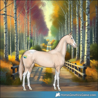 Horse Color:Amber Champagne Pearl Splash Varnish
