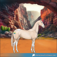 Horse Color:Amber Champagne Pearl Splash Varnish